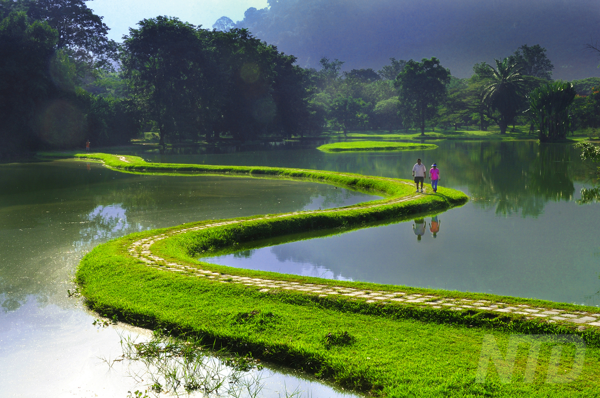 NTDTV Global competition works - Morning Scene