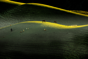 Interreflection of YILI Grassland