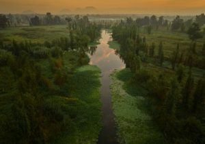 NTDTV Global competition works - 綠色之路