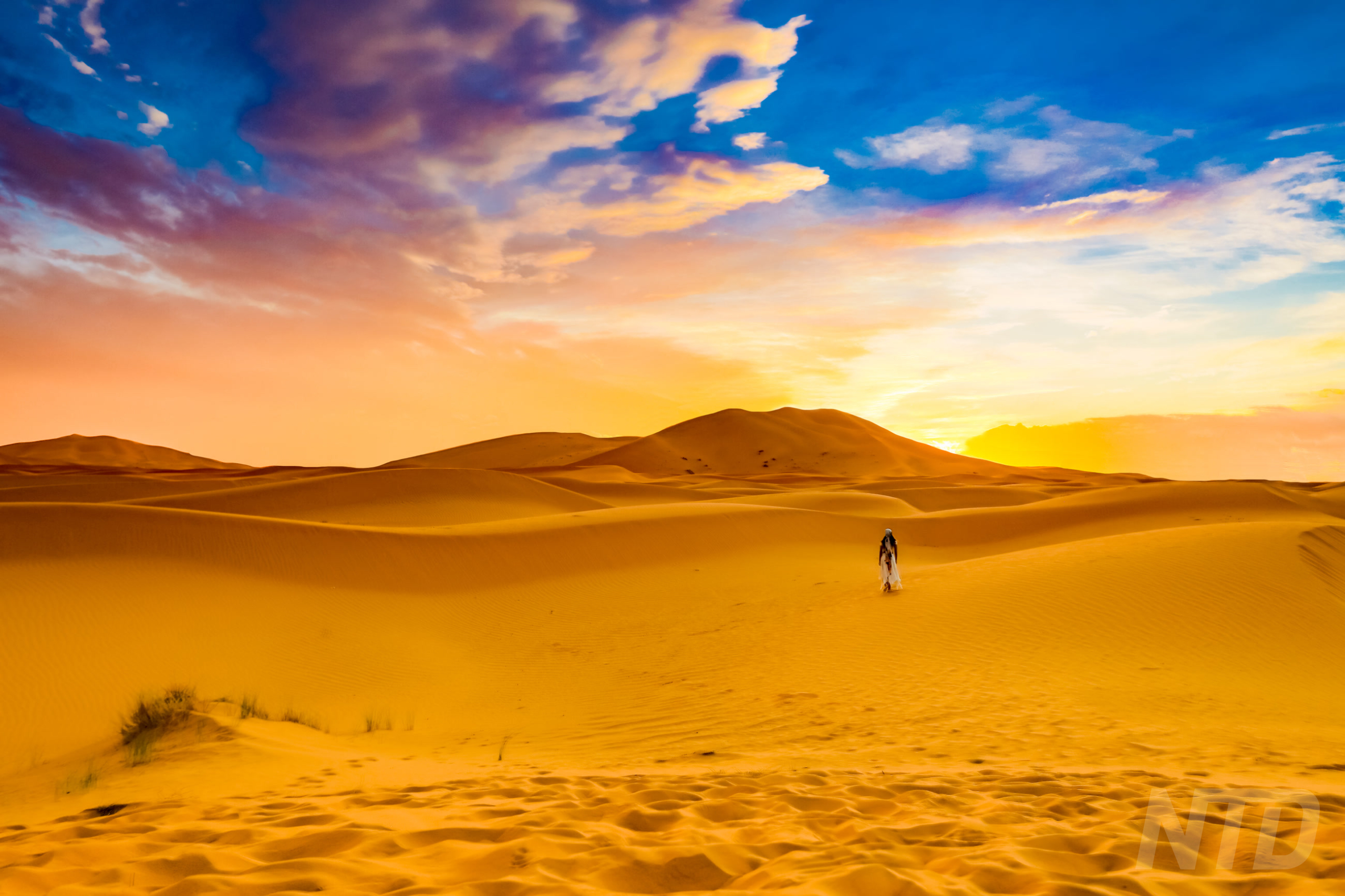 Bedouin woman walking through the Sahara