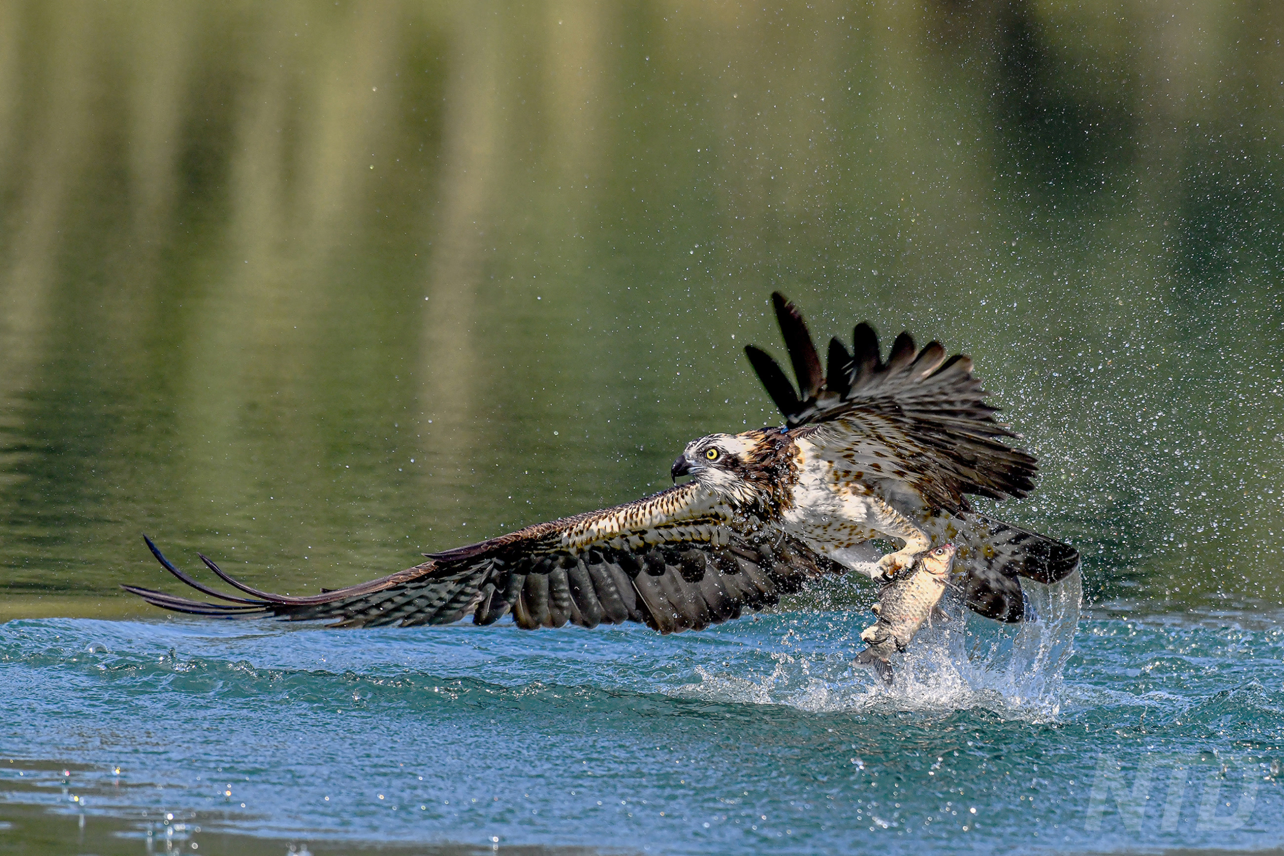 The Price of Hard Work