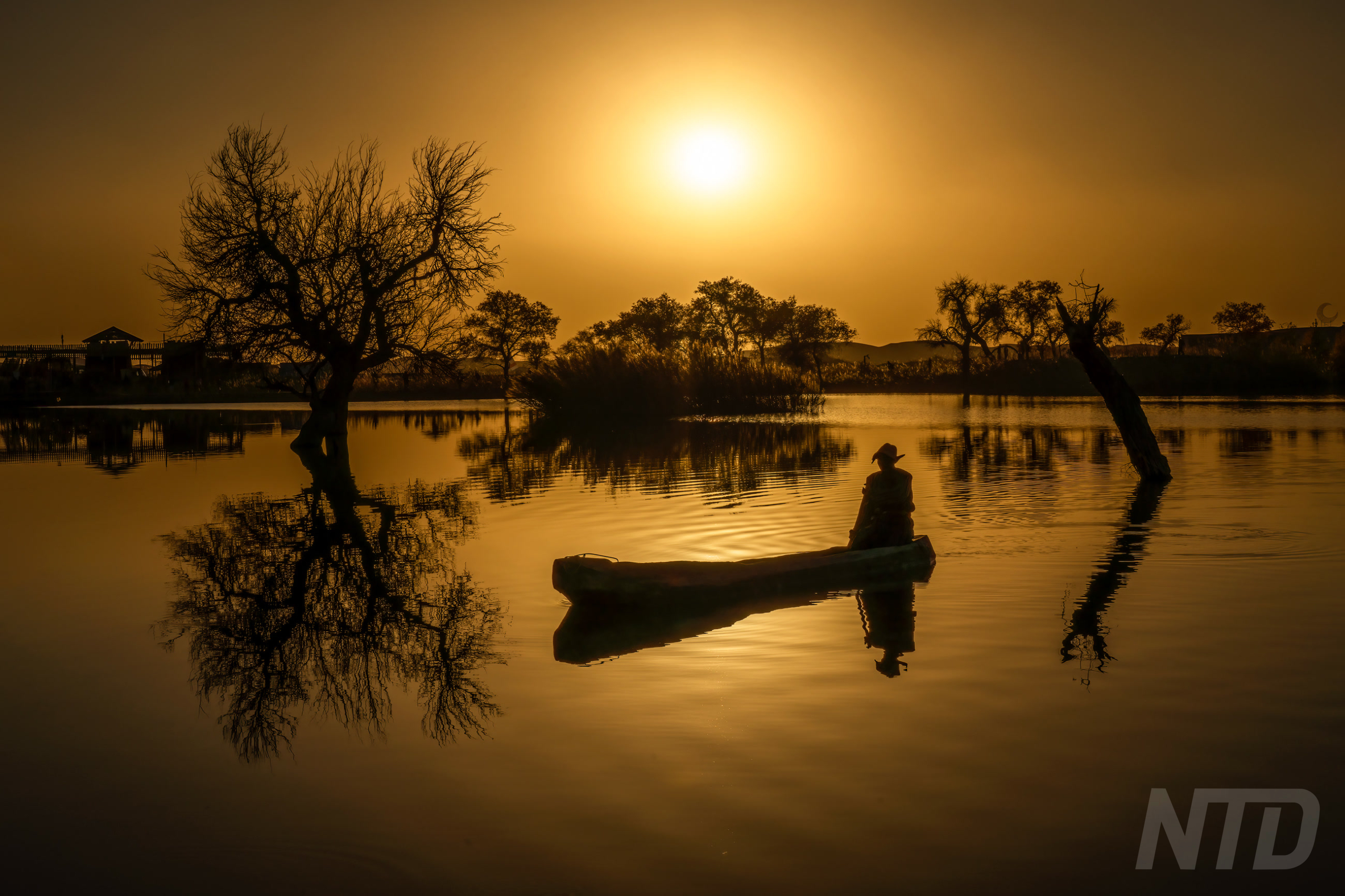 Silent Dusk on the Lake