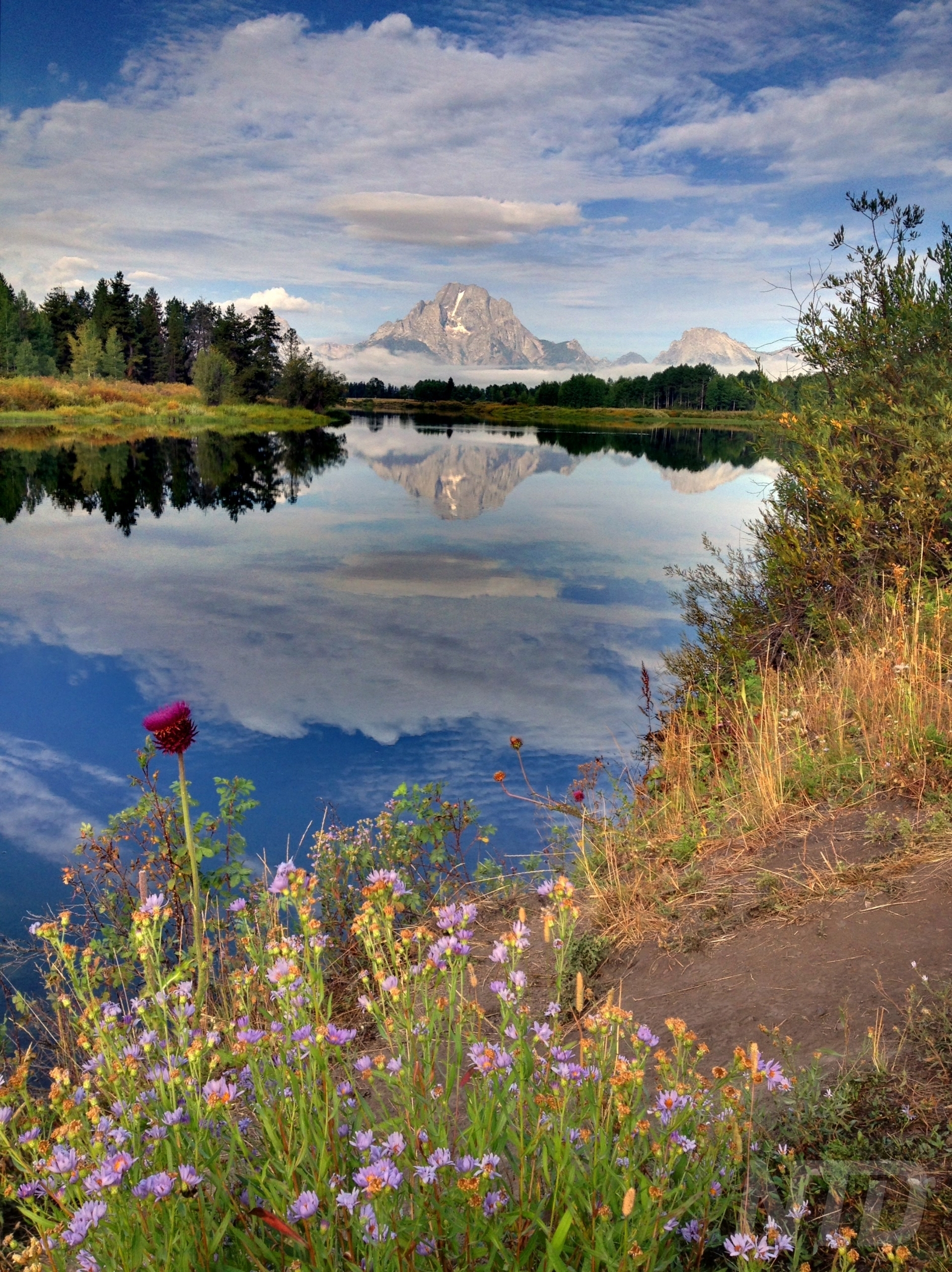 Purple Mountains Majesties