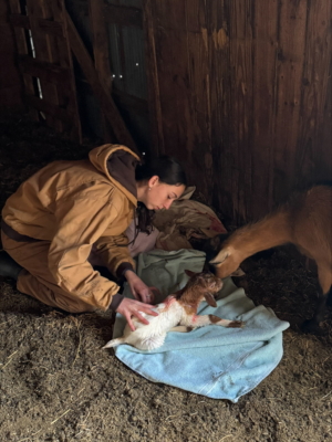 歡迎妳，小寶貝