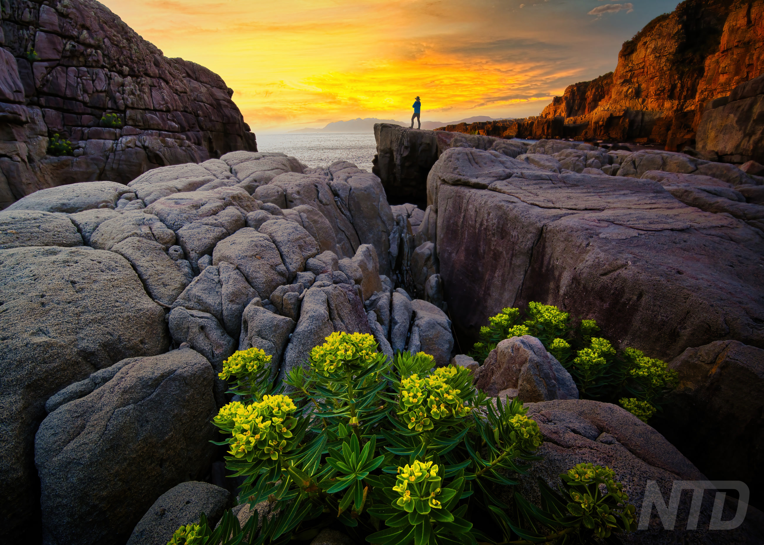 The Dawn of Long Dong