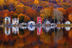 Autumn’s Final Serenade