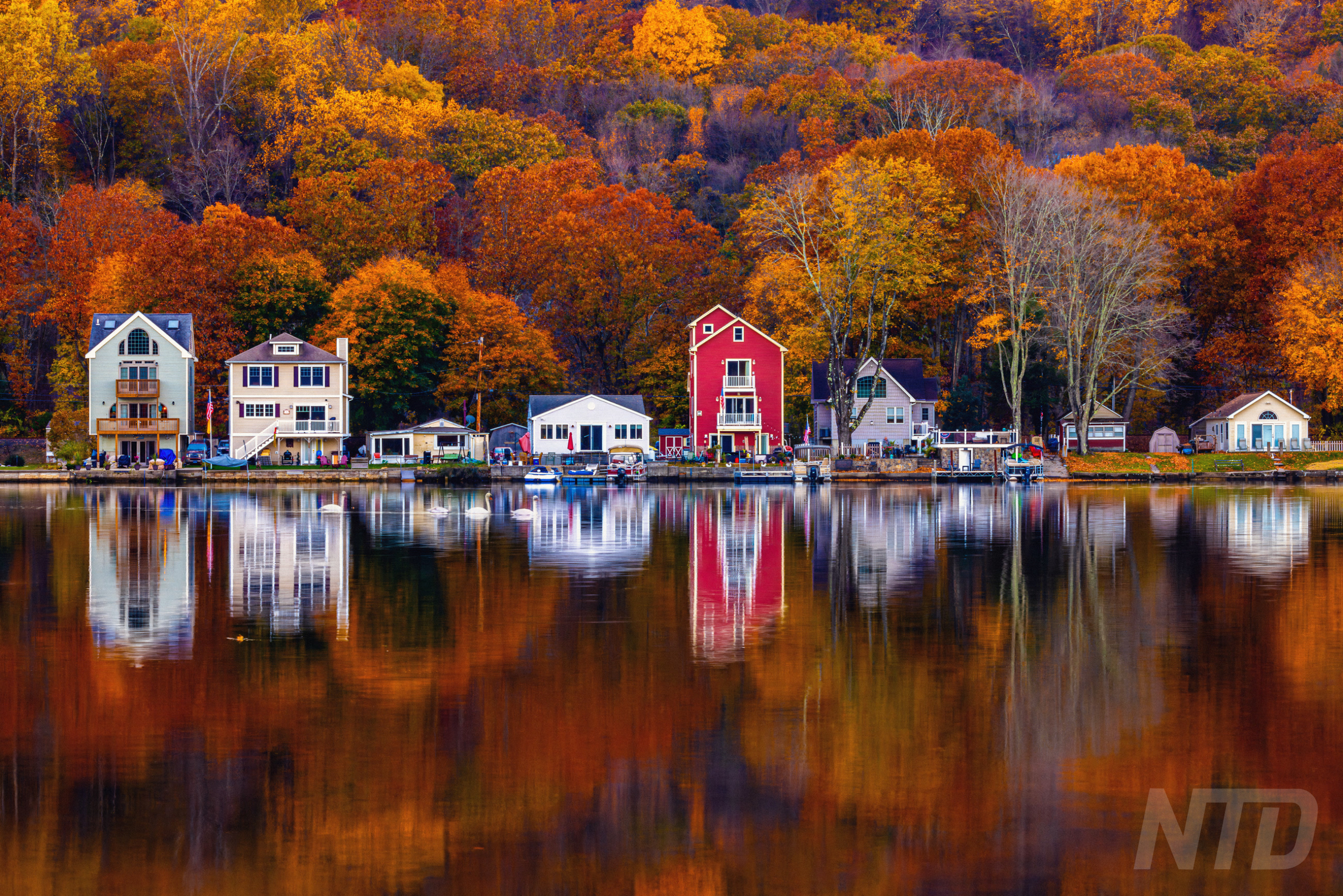 Autumn’s Final Serenade