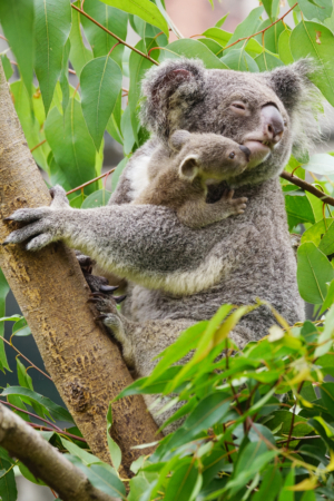 Let Me Sleep a Little Longer