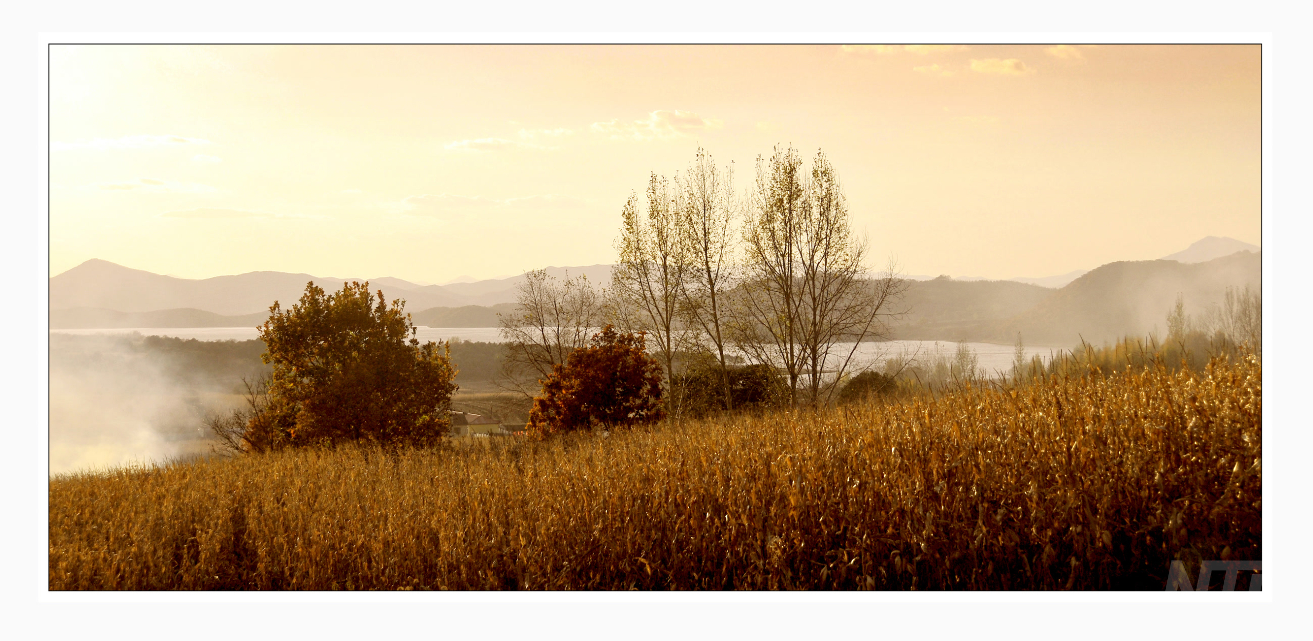 Golden Misty Village