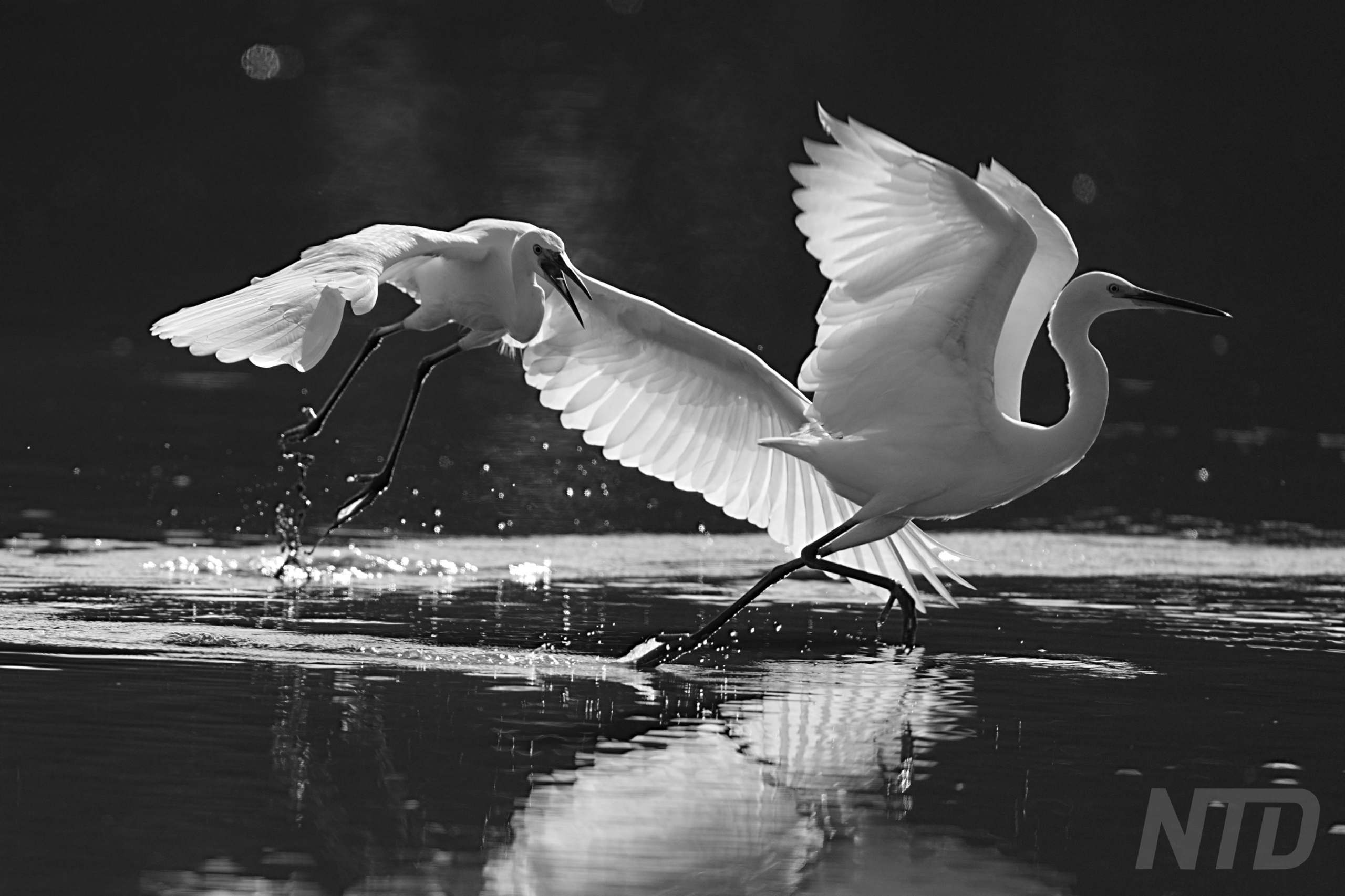 When Love Fades Away