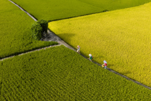 Guardian of the Land