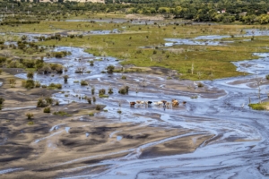 Picturesque Landscape